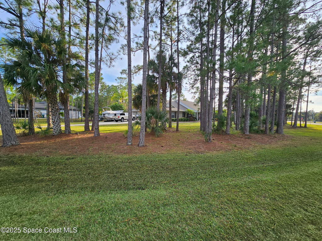 3094 Green Turtle Circle, Mims, FL 32754