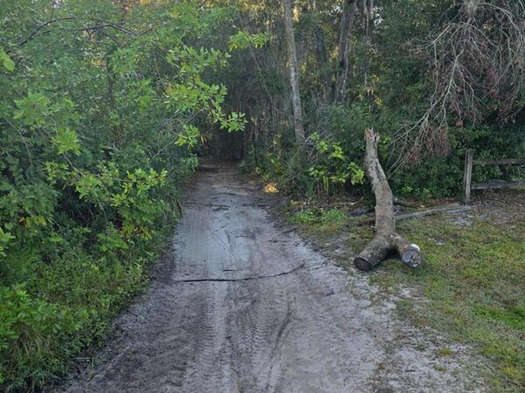 0000 Wood Duck Drive, Mims, FL 32754