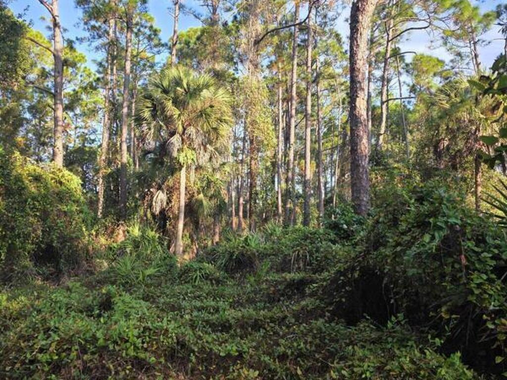 0000 Wood Duck Drive, Mims, FL 32754