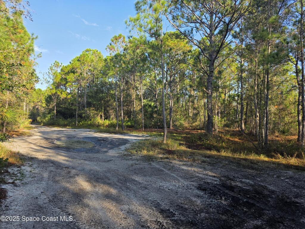 0000 Wood Duck Drive, Mims, FL 32754