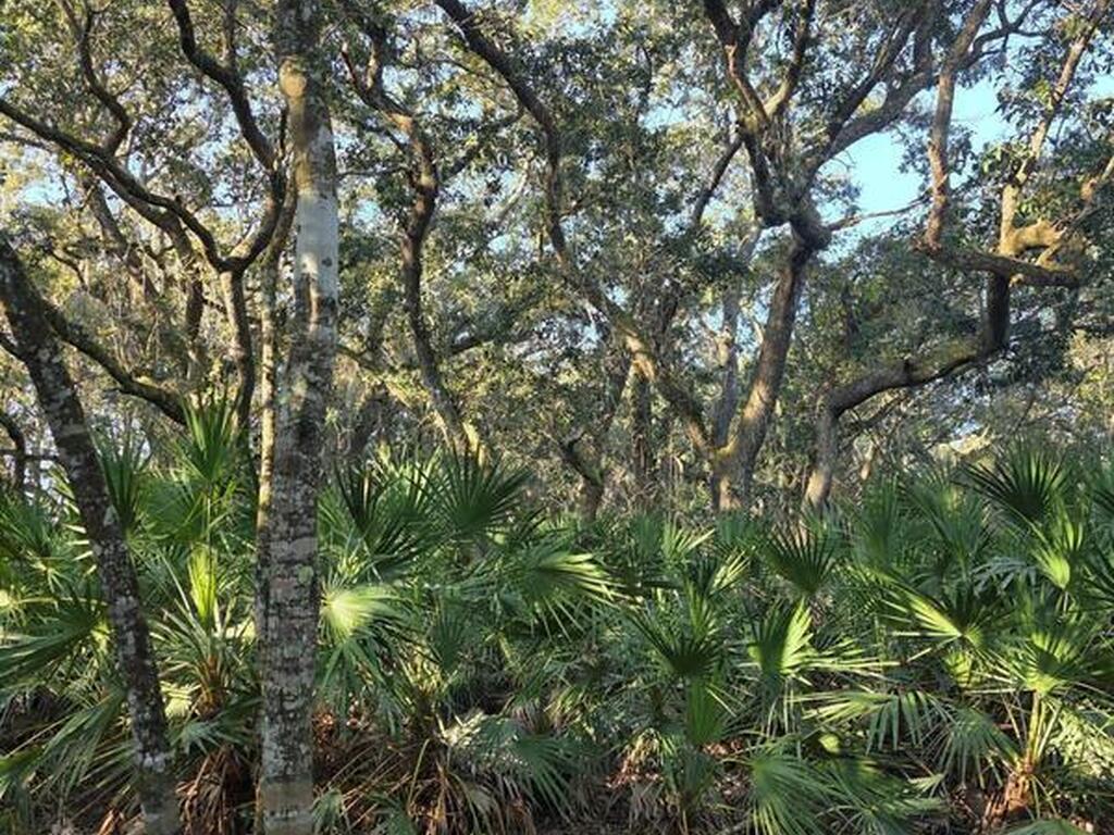 0000 Wood Duck Drive, Mims, FL 32754