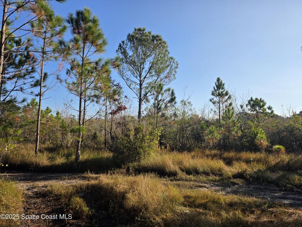 0000 Wood Duck Drive, Mims, FL 32754