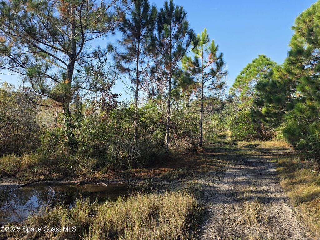 0000 Wood Duck Drive, Mims, FL 32754