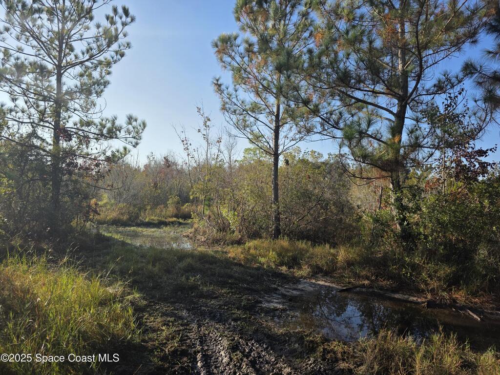 0000 Wood Duck Drive, Mims, FL 32754
