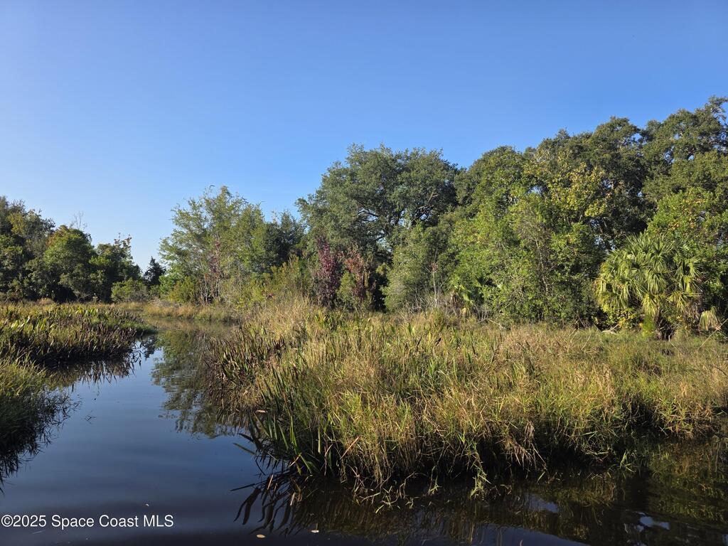 0000 Wood Duck Drive, Mims, FL 32754