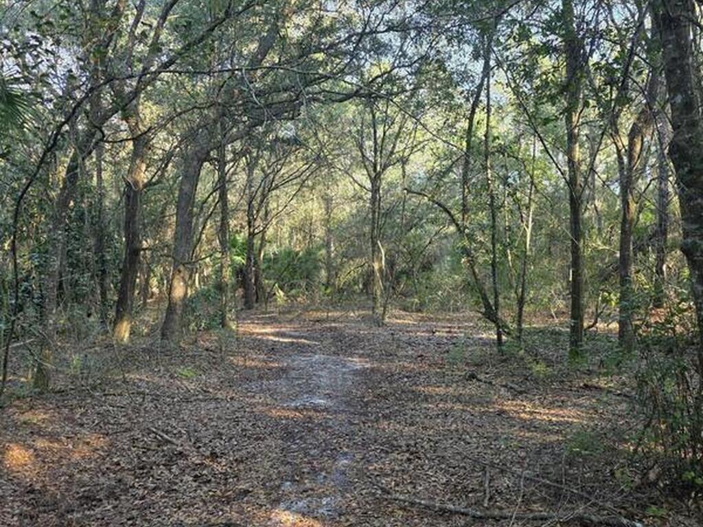 0000 Wood Duck Drive, Mims, FL 32754