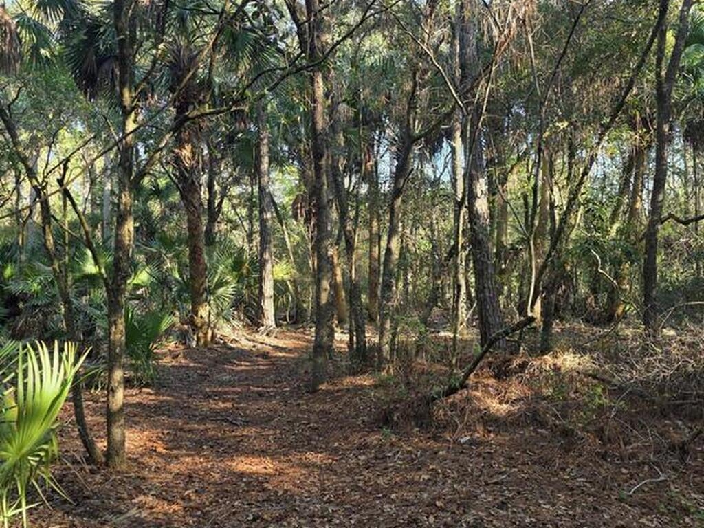 0000 Wood Duck Drive, Mims, FL 32754