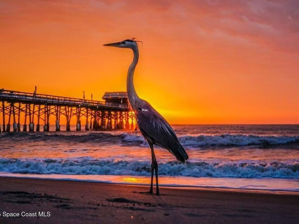 299 Chandler Street, Cape Canaveral, FL 32920