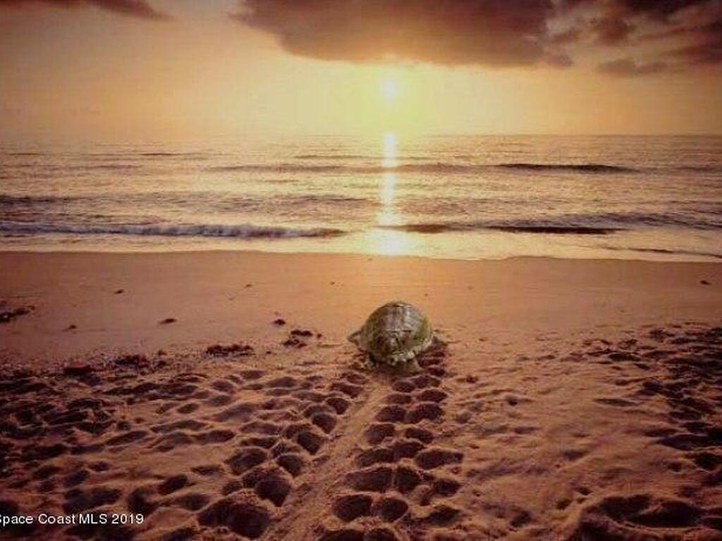 3251 Sand Court, Melbourne Beach, FL 32951