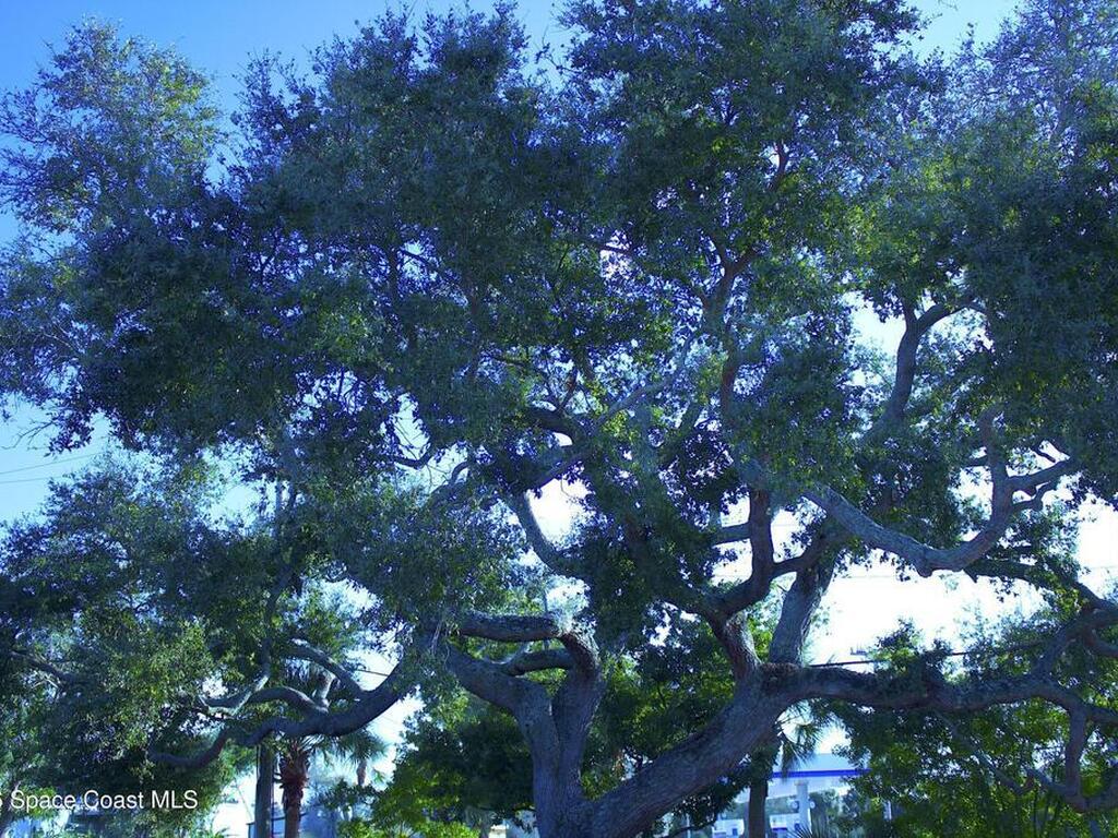 178 Long Point Road, Cape Canaveral, FL 32920