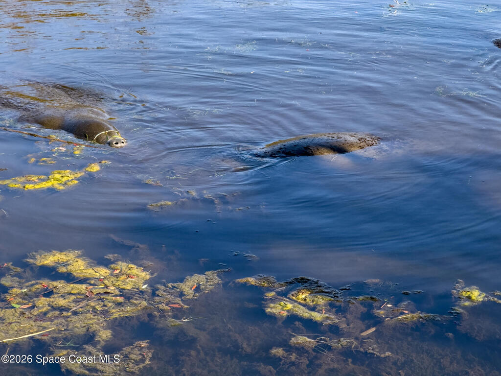 999 Sunswept Road, Palm Bay, FL 32905