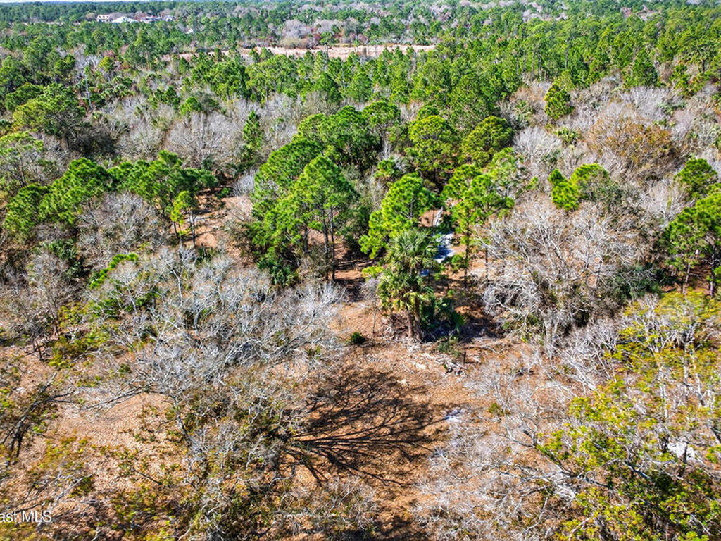 000 Old Mission Road, Malabar, FL 32950