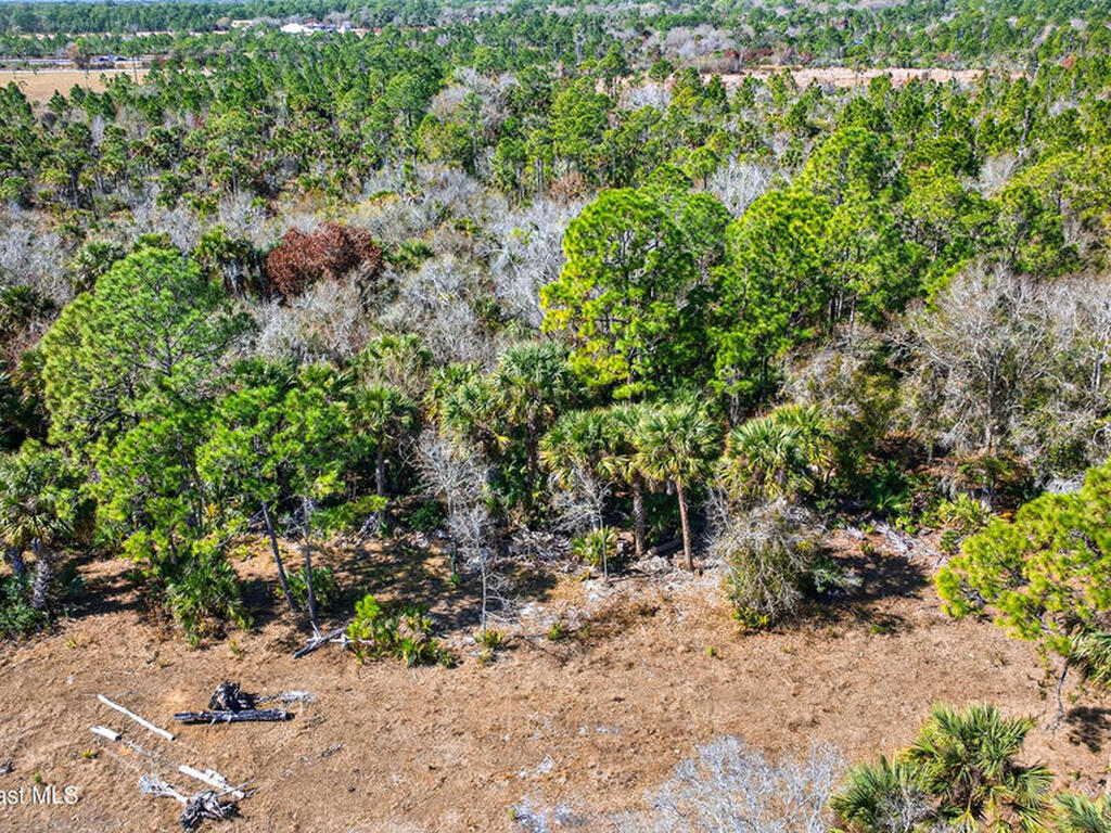 000 Old Mission Road, Malabar, FL 32950