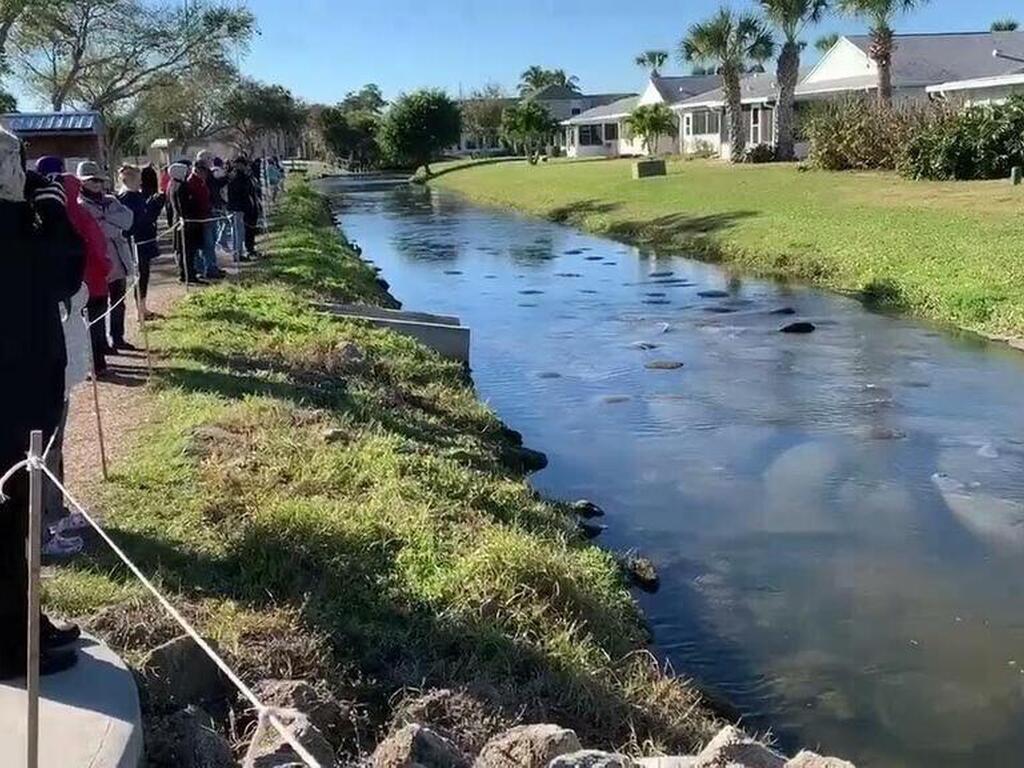 517 Summerset Court, Indian Harbour Beach, FL 32937