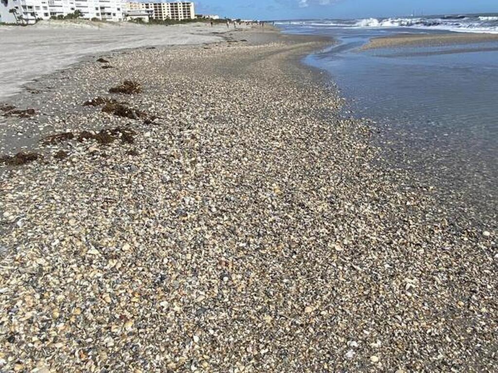 190 Seminole Lane, Cocoa Beach, FL 32931