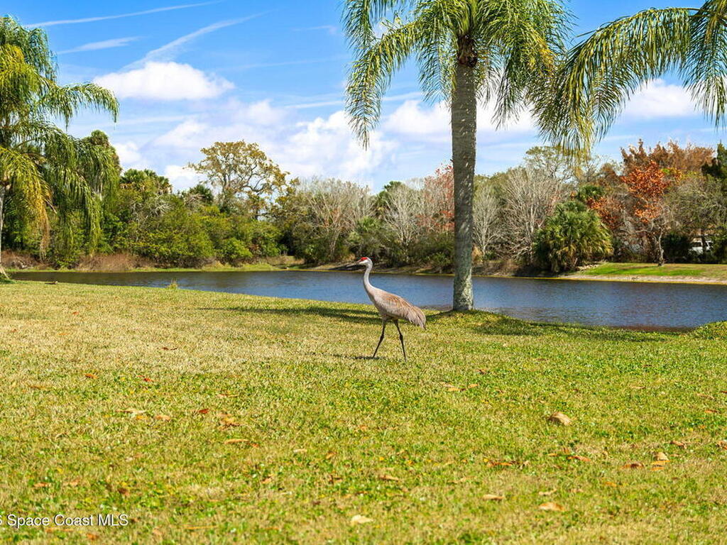 5137 Royal Paddock Way, Merritt Island, FL 32953