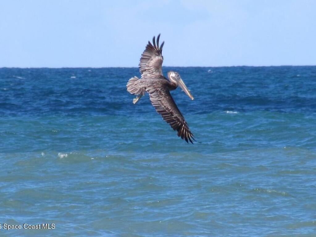 2084 Seawind Court, Melbourne, FL 32903