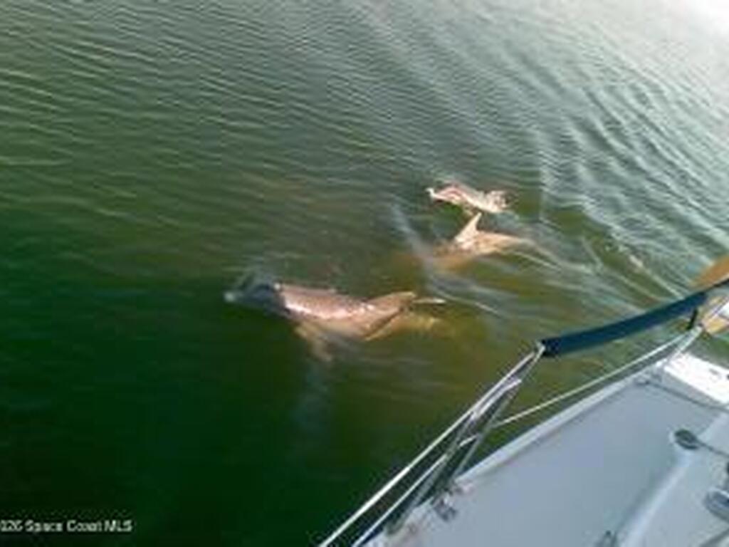 2084 Seawind Court, Melbourne, FL 32903