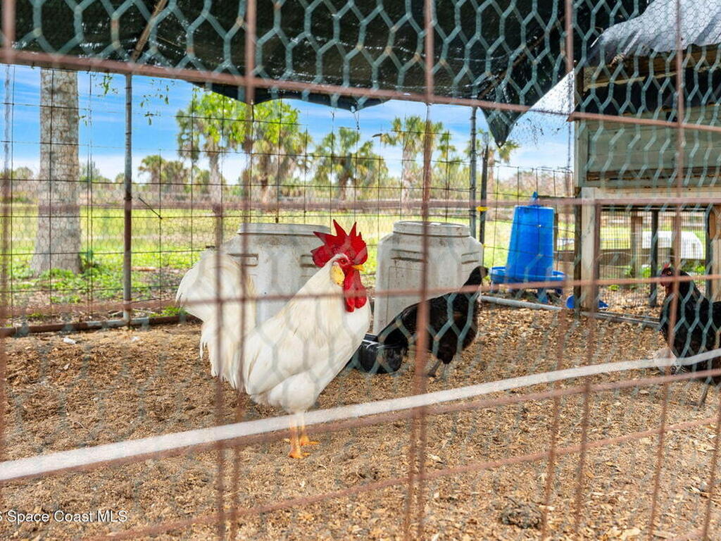 322 Trotters Street, Palm Bay, FL 32909