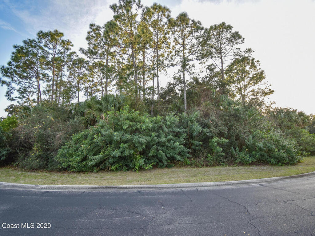 2671 Sussana Lane, Titusville, FL 32780