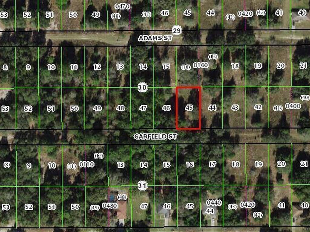 2402 Garfield Street, Inverness, FL