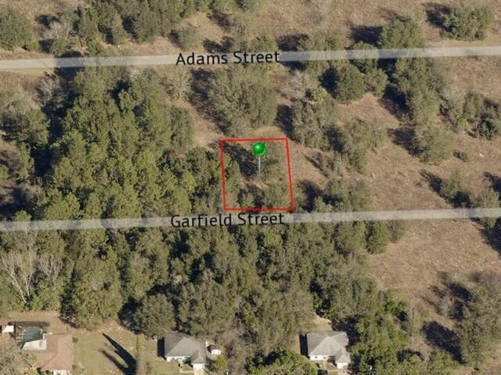 2402 Garfield Street, Inverness, FL