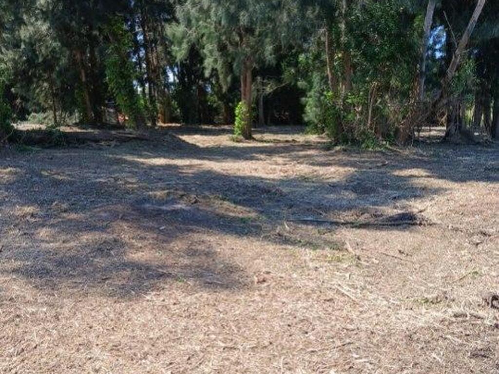 3832 Valkaria Road, Malabar, FL 32950