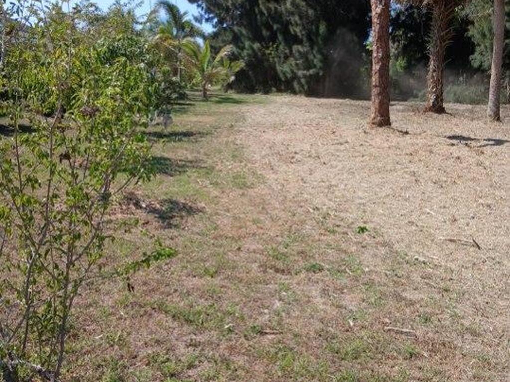 3832 Valkaria Road, Malabar, FL 32950