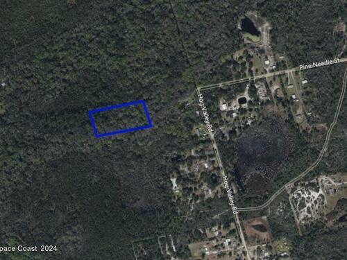 Xxx Pine Needle Street