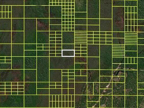 14110020 Holopaw Groves Road