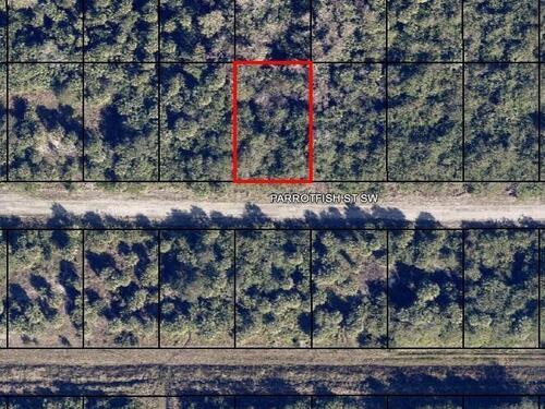 677 Parrotfish Street