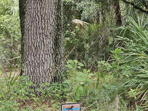 32801 Hwy 441 Lot 192